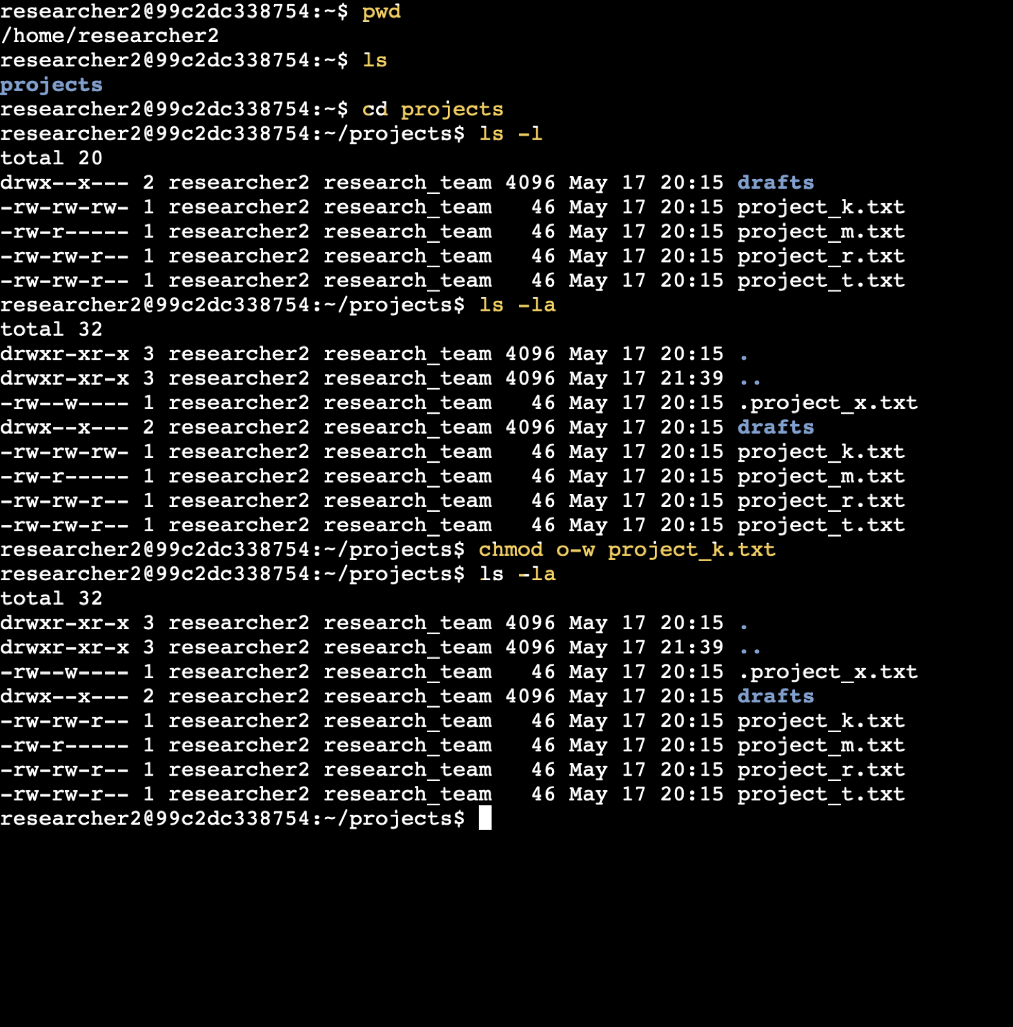 Check Details Command